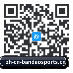 iPhone 专版 二维码